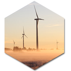 Medio ambiente y responsabilidad social